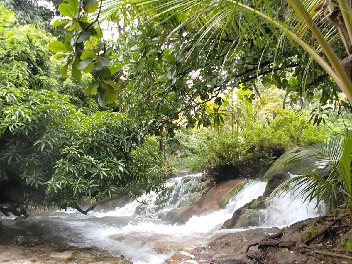 Bajawa Arnolds Familly Homestay מראה חיצוני תמונה